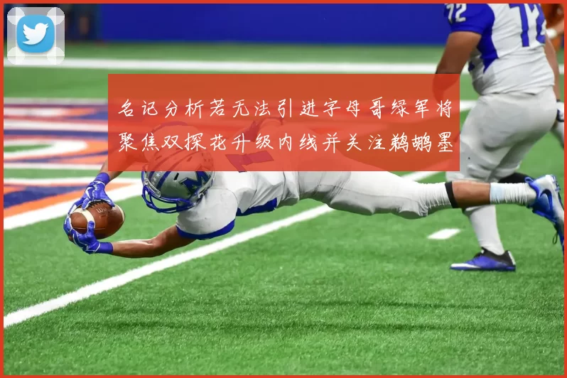 名记分析若无法引进字母哥绿军将聚焦双探花升级内线并关注鹈鹕墨菲